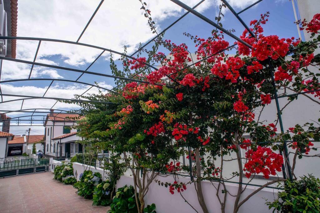 Vivenda Glorize Apartment Água de Alto Exterior foto